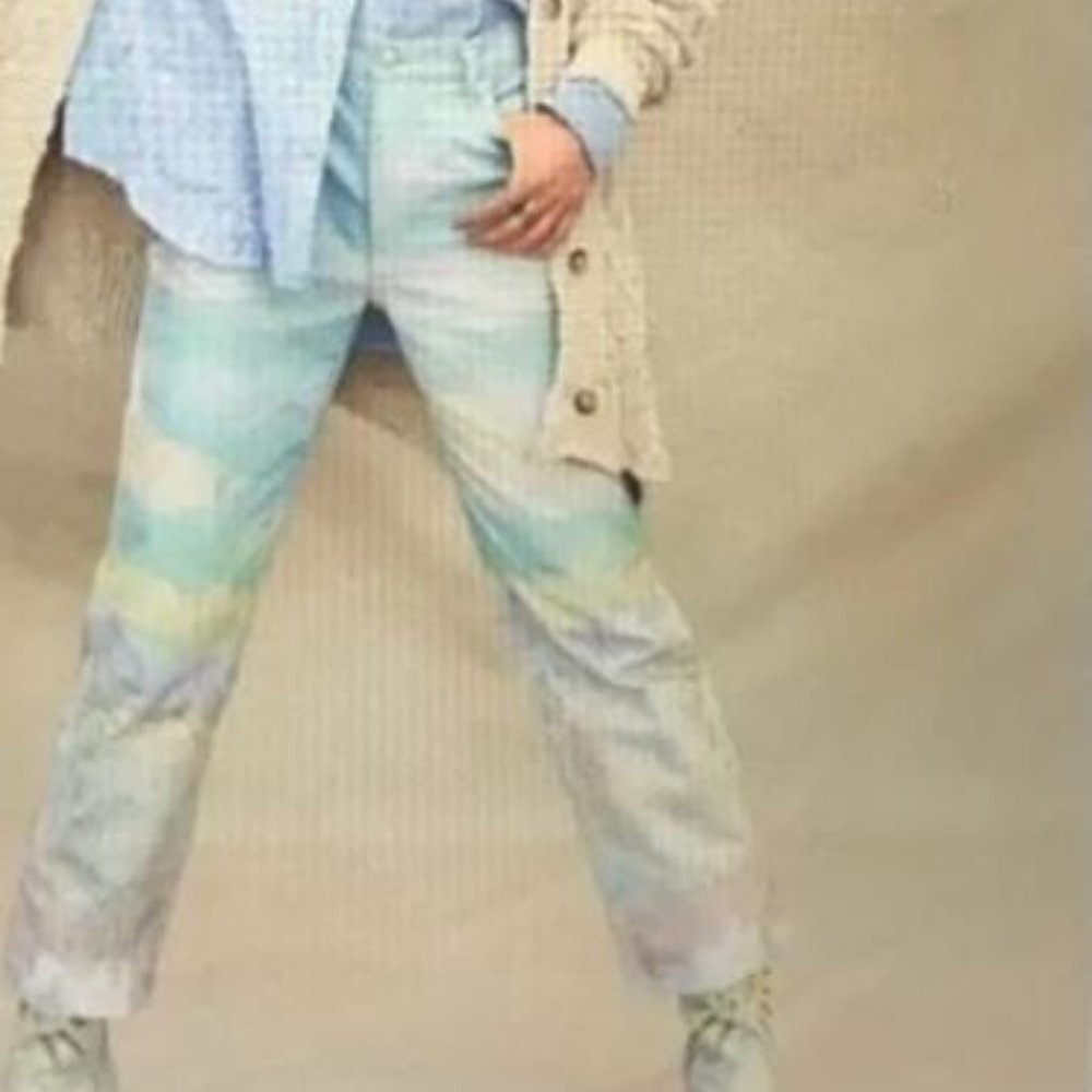 Free People Maggie Scenic Jeans New 33